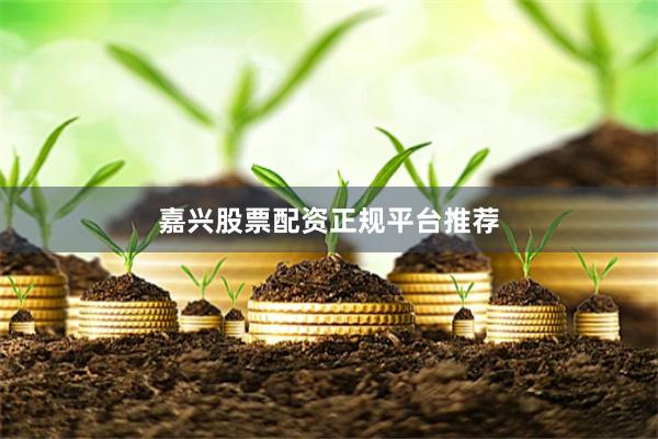 嘉兴股票配资正规平台推荐